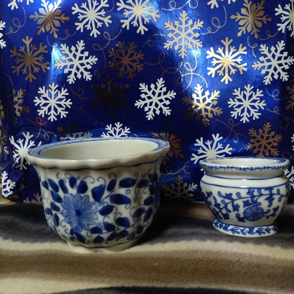 Blue and white ceramic vintage planters, flowers.